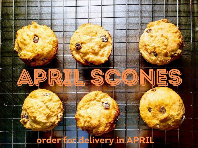 Mary O's Irish Soda Bread Scones: Shipped in April !